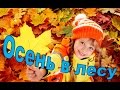 Seasonal Nature Observations