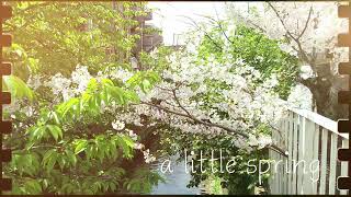【Vtuberオリジナル曲】a little spring 【小鳥遊音彩】