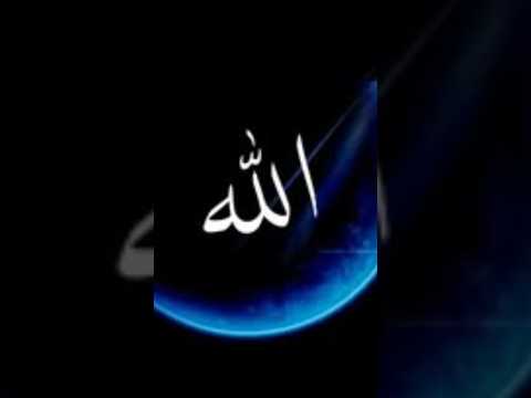 पांच ऐसे लफ्ज़ जो अल्लाह को बहुत ज्यादा पसंद आते हैं#facts #history #shorts