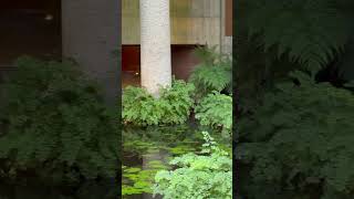 台灣：菩薩寺👉美術館等級的寺廟、感受「生活即是佛法」/ Taiwa:IBS Temple/2026 May#寺廟#buddhisttemple #Taichung#菩薩寺#台灣#taiwan