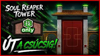 Út a csúcsig! | BBS Stream