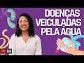 Doenças Transmitidas pela Água