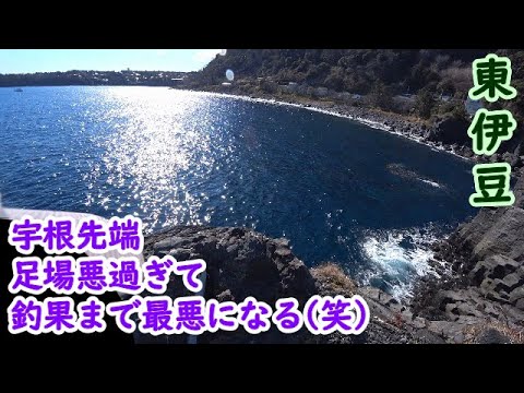 【東伊豆】良い場所らしいが足場悪過ぎ…そして渋過ぎ…【2025年2月上旬】