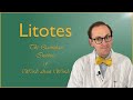 Understanding Litotes and Its Usage