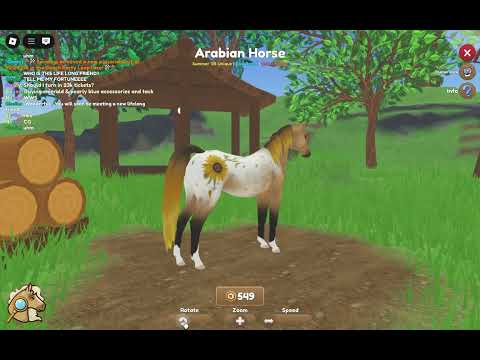 New wild horse island summer update. New horses and fun new items to get.
