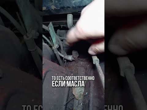 TG: nexpertGM БМВ ТАКОЕ И НЕ СНИЛОСЬ! #shorts #оживление #automobile #юмор