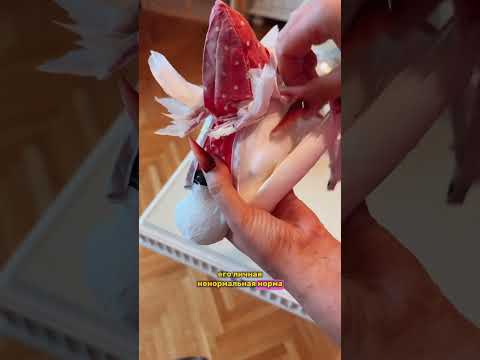 Все секреты Пьера раскрыла)