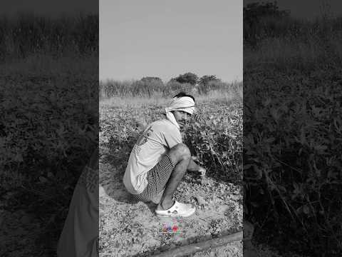 MBBS ka full from ।। सचिन पटेल बांदा सचिन पटेल बांदा।। राहुल प्रजापति बांदा।। गोलू भैया बांदा