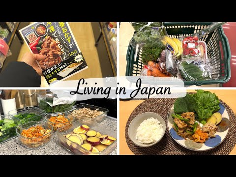 ordinary day of housewife living in japan | bought a new cookbook, make side dishes