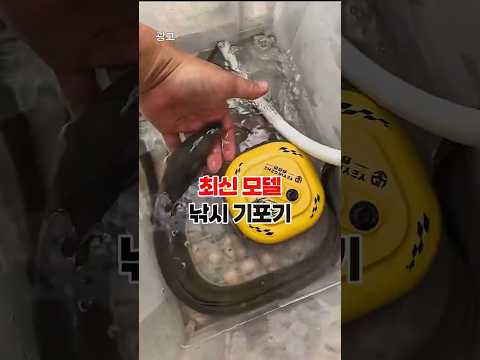 낚시용품 <strong>낚시</strong> 기포기