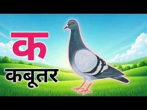अ से अनार, आ से आम, हिंदी वर्णमाला, ka se kabutar, a seanar, aa se aam, हिंदीस्वरब्यंजन #kidssong