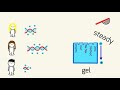 Gel Electrophoresis and Genetic Analysis