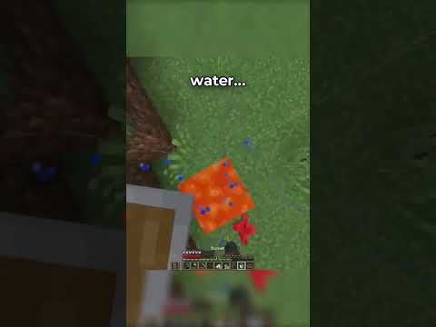 mojang changed the game files..