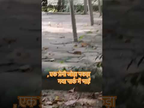 #comedy #funny #ytshorts #shortvideos bahi एक प्रेमी जोड़ा पकड़ा गया वो v बिहार का