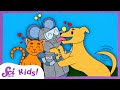 Understanding Cats and Dogs Characteristics