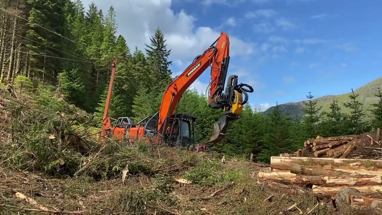 New Tigercat Carbonizer | Forest Machine Magazine