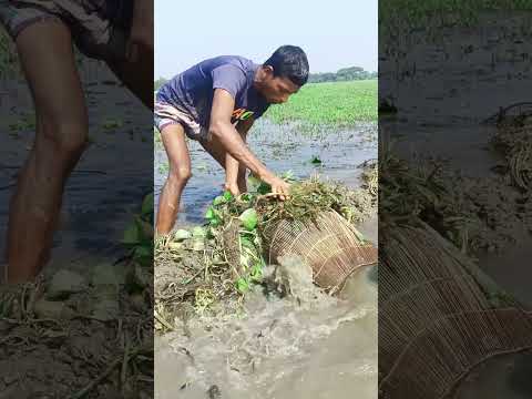 আজকে মনে হয় বড় মাছ ঢুকছে😂😂😂😂😂