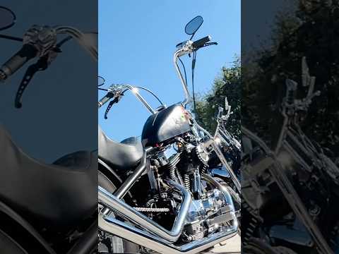 Harley Davidson - Chopper - 1200cc - Ride On