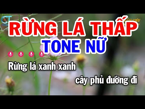 Karaoke Rừng Lá Thấp Tone Nữ (  Fm ) Nhạc Sống Tuấn Kiệt