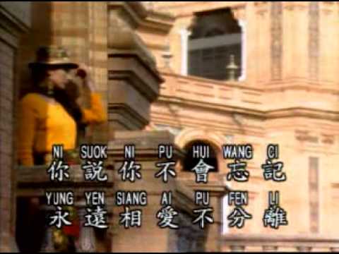 鑽石金曲 – 舞伴淚影 KTV