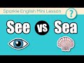 Understanding 'See' and 'Sea' Homophones