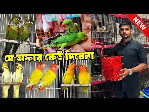 ডিসেম্বরের শেষ অফার | এখন মিস করবেন তো আর কখনও পাবেন না | ককাটেল, কনুর ও লাভবার্ড পাখিতে অফার 18De24