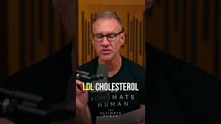 The Truth About Fat Loss and Cholesterol