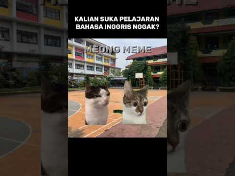 nggak bisa bahasa inggris #shorts #cat #catmemes #kucing #kucinglucu #kucingdubbing