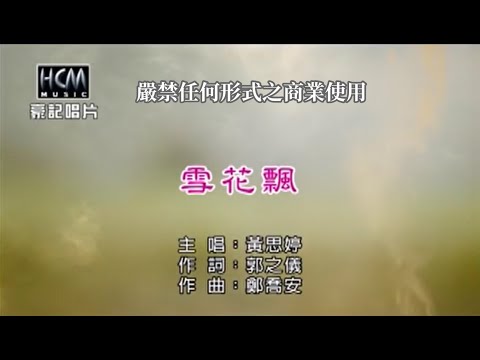 黃思婷-雪花飄【KTV導唱字幕】