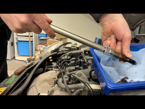 1.6 Prince motor, Seat Leon, Fiat Linea