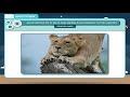 Grassland Ecosystem Adaptations and Characteristics