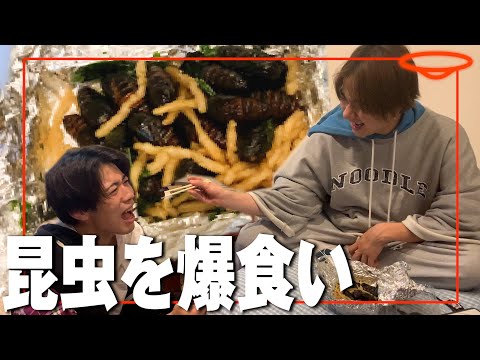 【Vlog】人生初の昆虫食べます...【#15】