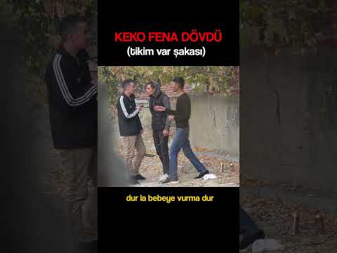 Angara Bebesi Duran Kekoların Ayarıyla Oynuyo - #shorts