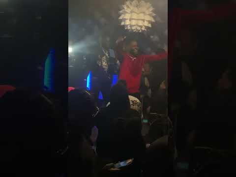 gold eye and Nino breeze 4 am
