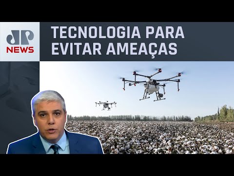 Lituânia anuncia “muro de drones” da Otan contra Rússia; Marcelo Favalli analisa