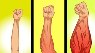 Tu veux des bras veineux. Essaye ça ce mois ci.