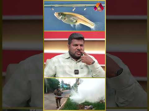 கொசுவை ஒழிக்க இந்த வகை மீன் இருந்தா போதுமா! #AADHANNEWS #AADHANSHORTS #PANDIYANINTERVIEW