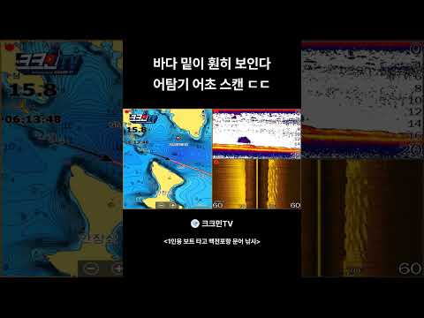 바다 밑이 훤히 보인다 <strong>어탐기</strong> 어초 스캔 ㄷㄷ