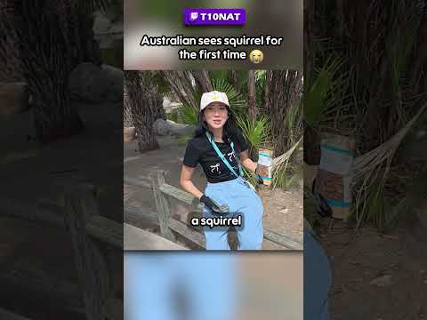 Australian Sees A Squirrel For The First Time 🐿️