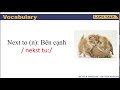 Nextel Concepts and Features Overview