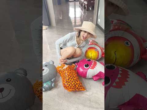Động vật làm hại shisuka #shortvideo #funny #troll  #ktlnsieutroll #haihuoc #clipvui #comedy #maa