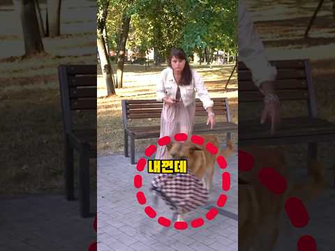 여성이 무사했던 충격적인 이유