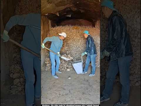 এই কারণে চীনারা আমাদের থেকেও চতুর | Food Lover