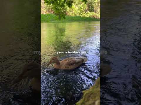 good things come to those who go outside💚