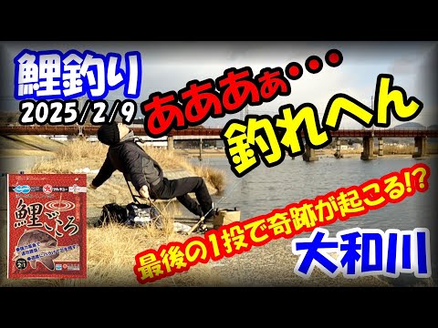 【大阪・真冬の大和川鯉釣り】ヤバい！鱒レンジャーにマルキュー練りエサ「鯉ごころ」で鯉は釣れるでしょうか？まさかのボウズ？視聴者さん親子と釣り。最後の1投に奇跡が起こる！？ダイソーPEライン