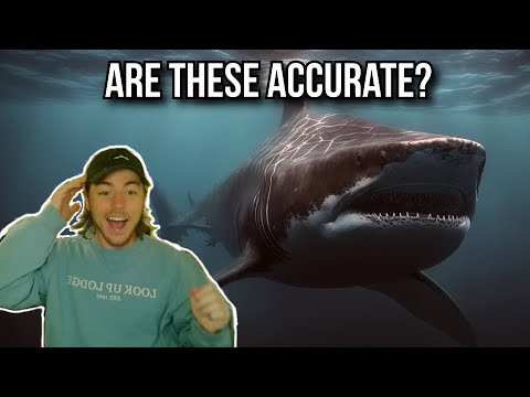 Fish Biologist Reacts to AI Generated Megalodon Pr Original video_ https_//www.youtube.com/watch?v=HxGM9w6ADNE

Support Me Directly_ https_//www.patreo
