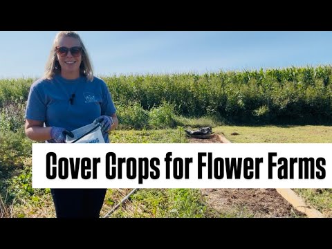 Winter Cover - Easy, Hand-Sown Cover Crops for Small Farms : Zone 5 : flower farm