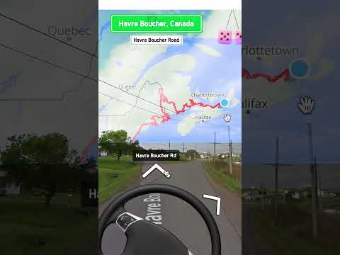 Thousands of people 'driving' one car | DW News