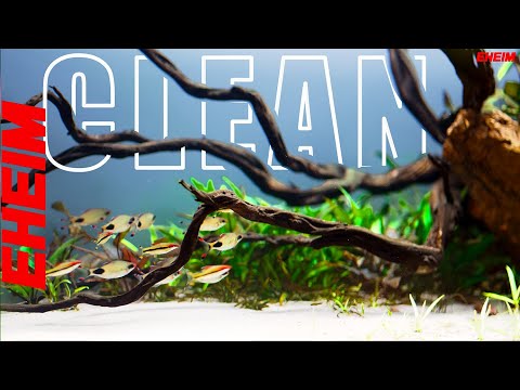Nature Style Aquascape Update | Clean Layout Powered By Eheim