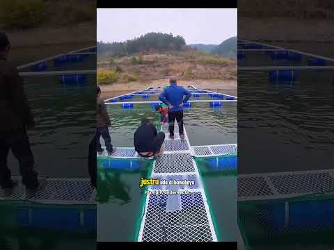 Teknologi Tambak Ikan Terapung di Tiongkok! Cara Modern Budidaya Ikan Tanpa Lahan